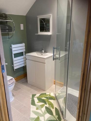 een badkamer met een douche, een wastafel en een toilet bij Whiteside Granary in Haltwhistle