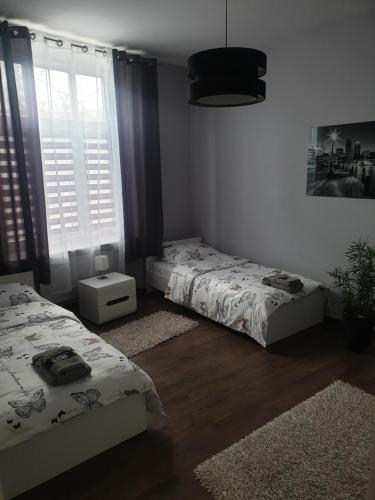 a bedroom with two beds and a window at Apartamenty Rynek Azyl in Przemyśl