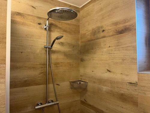 a shower in a bathroom with a wooden wall at Apartmány Nýdečanka in Nýdek