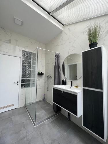 a bathroom with a sink and a shower and a mirror at L Escapade Urbaine in Brussels