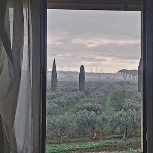 a window with a view of a field with trees at Agriturismo Augello in Partanna