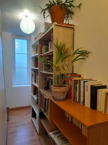 een boekenplank met boeken en een potplant erop bij Chez Marie et Hugo in Crépy-en-Valois