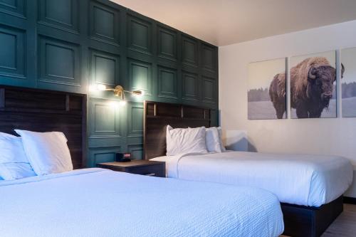 a bedroom with two beds and a green wall at The Scout INN in Cody