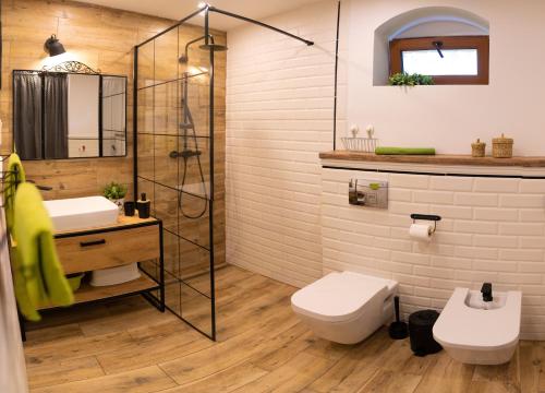 a bathroom with a shower and a toilet and a sink at Dom Farmerski w Górach Stołowych in Wünschelburg