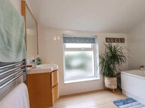 a bathroom with a sink and a window with a plant at Pepperpot Cottage in Bude