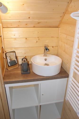 a bathroom with a sink in a tiny house at Les Cabanes du Grand Nord in Pradines