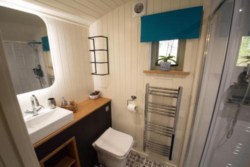 a bathroom with a sink and a toilet and a shower at Luxury Twin Shepherds Hut - Cosy & Romantic in Llandudno