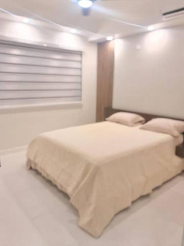 um quarto com uma cama num quarto branco em Le Luxe Suite em Kingston