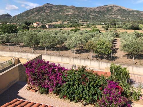 B&B Il Mirto Bianco – Photos 5