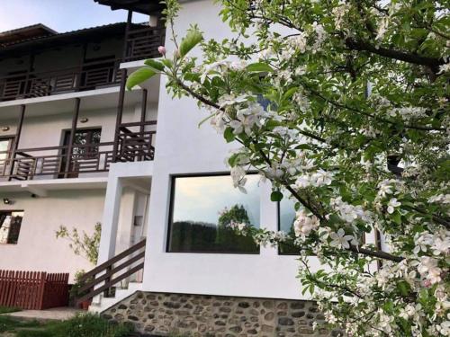 a white house with a window and a tree at livada-cu-meri in Căpăţîneni-Ungureni