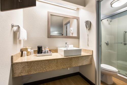 a bathroom with a sink and a toilet and a mirror at Red Roof Inn Princeton - Ewing in Lawrenceville
