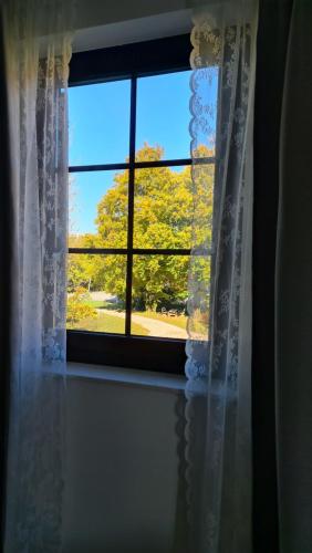 a window with a view of a tree at B&B Plitvice Holiday Lodge in Plitvička Jezera