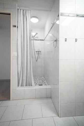Luegisland Wohnung Salietti