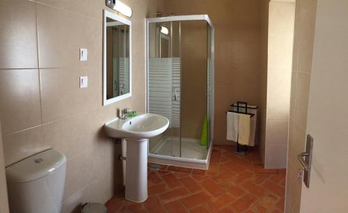 a bathroom with a sink and a shower and a toilet at SOLAR DOS AVÓS in Guia