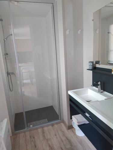 uma casa de banho com um chuveiro e um lavatório. em Mobile Home tout confort C13 Domaine de Lanniron em Quimper