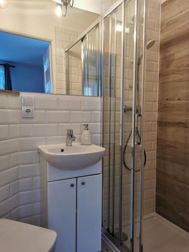 La salle de bains est pourvue d'un lavabo et d'une douche. dans l'établissement Rodzinna Ostoja, à Zakopane