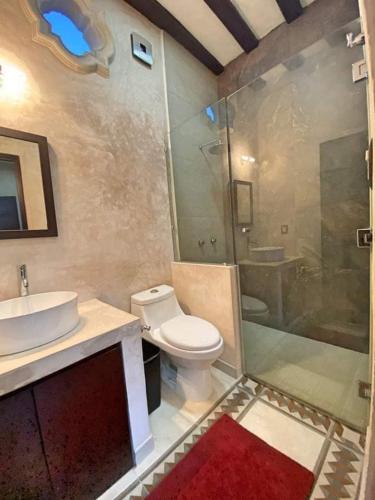 y baño con aseo, lavabo y ducha. en Casa Nardo Planta Alta, en Valladolid