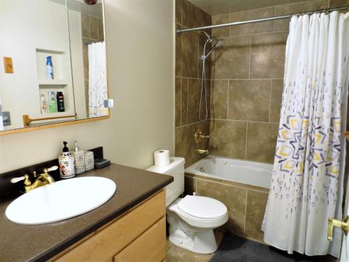 a bathroom with a sink and a toilet and a shower at Entire Cozy Basement! Private Entrance! - Fast Wifi! in Salt Lake City