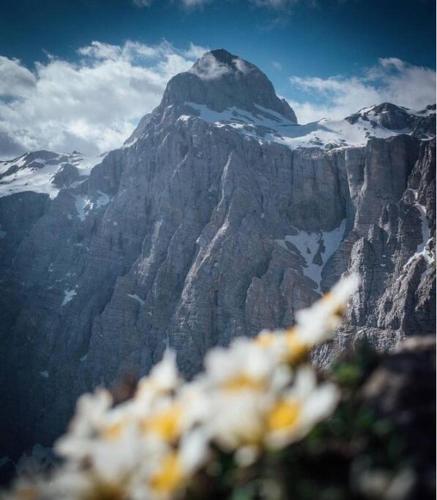 a view of a mountain with flowers in the foreground at Hiša Borov Gaj in Mojstrana
