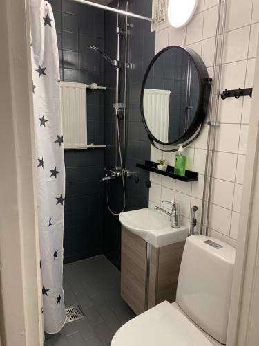 a bathroom with a toilet and a sink and a mirror at StarHomes Oulu, double in Oulu