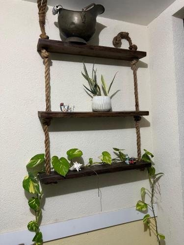 a wooden shelf with plants on a wall at Serenity Get Away in Lucea