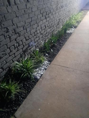 a retaining wall with plants next to a sidewalk at Cozy guesthouse-springs in Springs