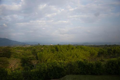 an overhead view of a forest of trees on a cloudy day at Hotel San Antonio del Cerro in Pereira