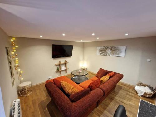 a living room with a brown couch and a tv at Au bord du canal in Nancy