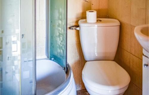 a bathroom with a toilet and a shower at 1 Bedroom Beautiful Home In Pobierowo in Pobierowo