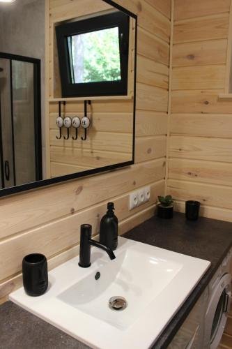 a bathroom with a sink and a mirror at Między Sosnami in Pasym