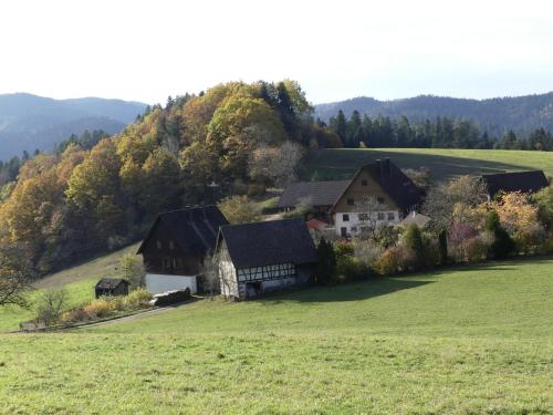 ein Haus auf einem Hügel auf einem grünen Feld in der Unterkunft Ferienwohnung Höfenhof in Schiltach