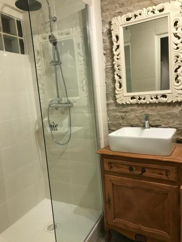 a bathroom with a shower and a sink and a mirror at Le grenier de Manée in Villemoustaussou