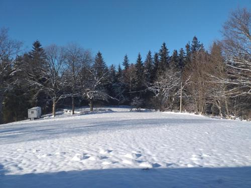 a snow covered hill with a house in the background at Penzion Na Výsluní in Strašín