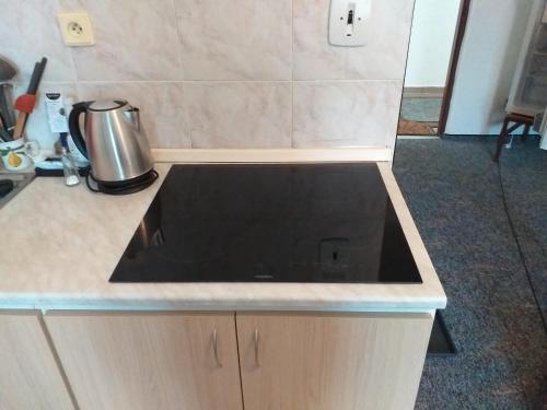 a kitchen counter with a sink in a kitchen at Penzion Na Výsluní in Strašín