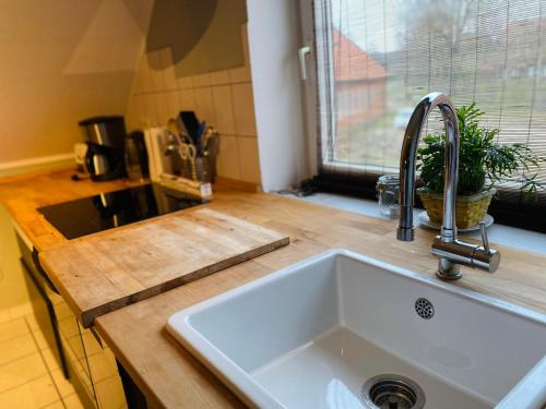 a kitchen with a sink and a counter top at Lily-Rose Cottage in Vastorf