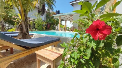 a patio with a bench and a red flower and a pool at Nakupenda paje villa in Paje