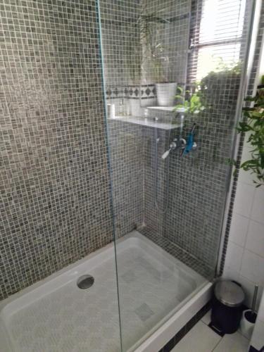 W łazience znajduje się prysznic ze szklanymi drzwiami. w obiekcie Le Mas du Sud w mieście Draguignan