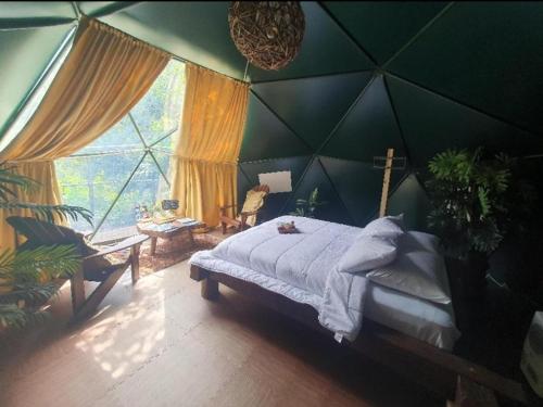 1 dormitorio con una gran pared verde y 1 cama en Momotus Glamping, en Florencia