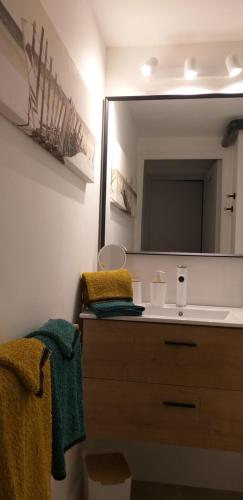 uma casa de banho com um lavatório e um espelho em Pomme de Pin et Mimosa em Grand-Village-Plage