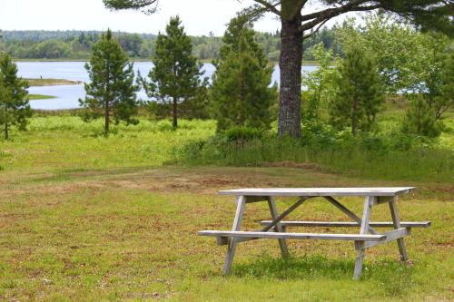 a picnic table sitting in the grass near a lake at 1 and Only Riverside Accommodations in Sable River