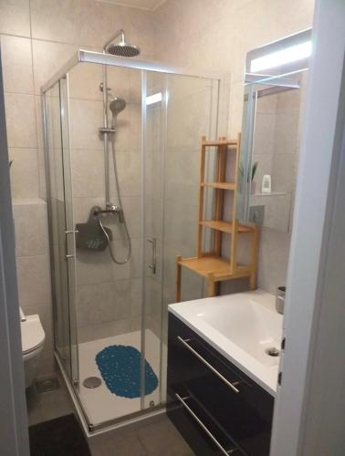 a bathroom with a shower and a toilet and a sink at Apartmani Tina in Jelsa