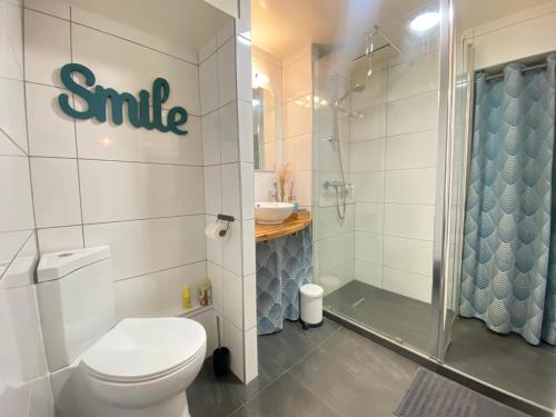 ein Bad mit einem WC, einer Dusche und einem Waschbecken in der Unterkunft La Pause de Mérimée - T2 - Parking - Jardin in Vannes