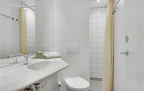 Lohalsにある1 Bedroom Stunning Apartment In Tranekrの白いバスルーム(洗面台、トイレ付)