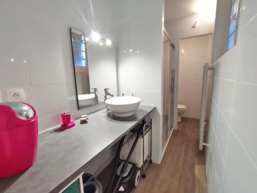 a bathroom with a white sink and a mirror at L'Alexiane, Centre Luchon, parking gratuit, wifi in Luchon