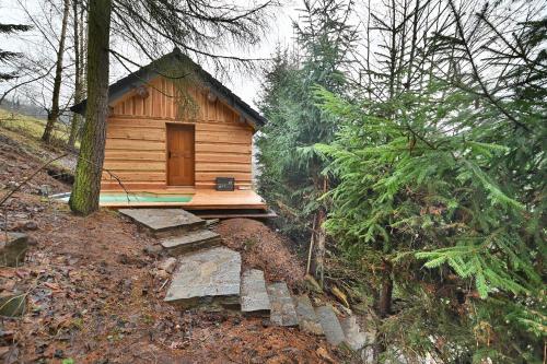 a small wooden cabin in the middle of a forest at Wooden house in the heart of the Giant Mountains with own hill in Víchová nad Jizerou