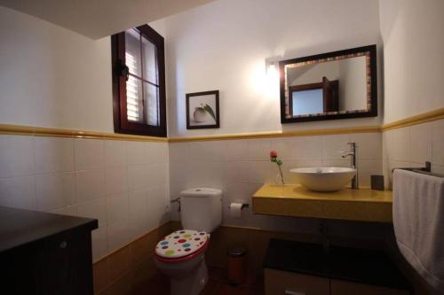 W łazience znajduje się umywalka, toaleta i lustro. w obiekcie Villa El Olivo del Sur w Aronie