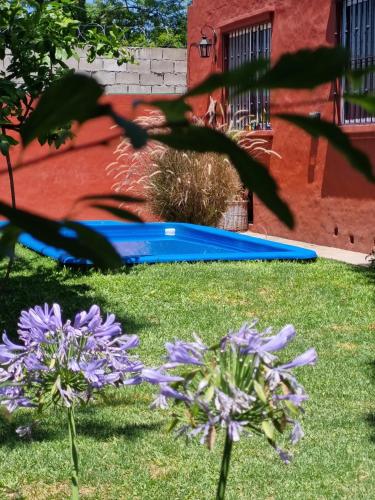 a bunch of blue trampols in a yard with purple flowers at Río Tigris Apart 1 in Tigre