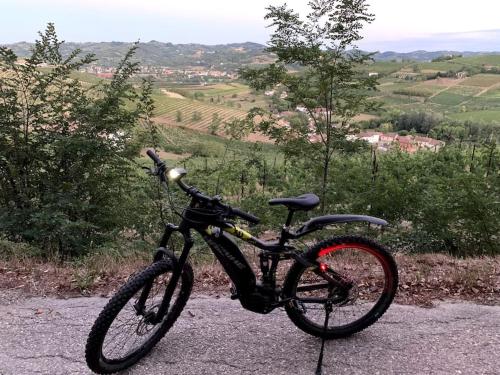 una bicicletta parcheggiata sul ciglio di una strada di Apart-Agriturismo "La Colomba" Nizza Monferrato a Nizza Monferrato