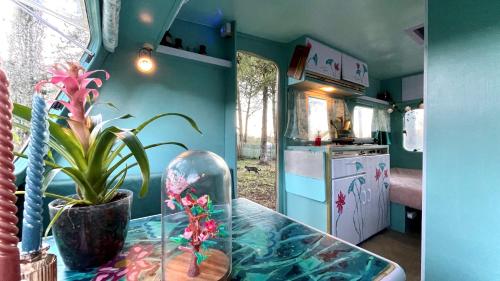 eine Küche mit einem Glastisch und einer Topfpflanze in der Unterkunft Ir por ai Arrábida in Azeitão