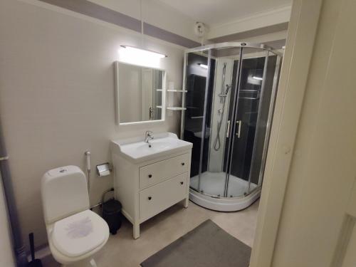 a bathroom with a shower and a toilet and a sink at Säfsen Stay in Ludvika